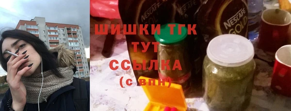 гидра Бородино