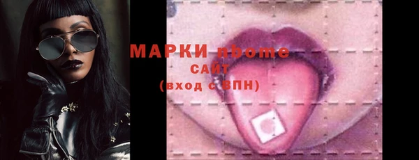 мдпв Богородицк