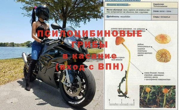 наркотики Богданович