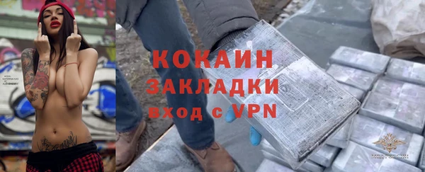 гидра Бородино