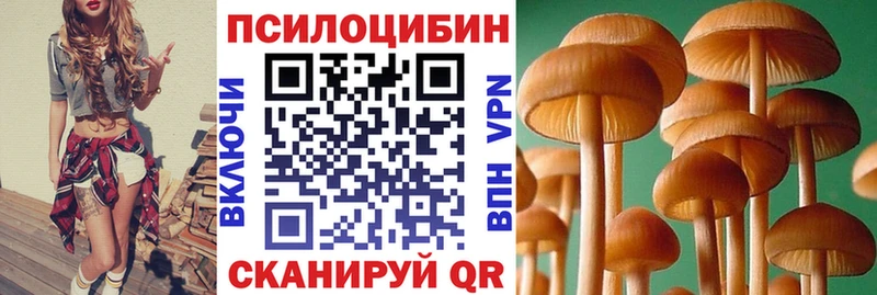 Галлюциногенные грибы Psilocybine cubensis  магазин продажи   Пересвет 