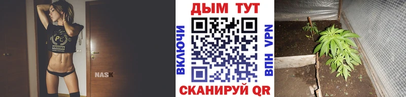 Бошки марихуана конопля  Пересвет 
